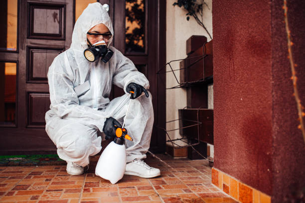 Reliable Emergency Pest Control contractor in Inverness Highlands North, FL by Nex Pest Control