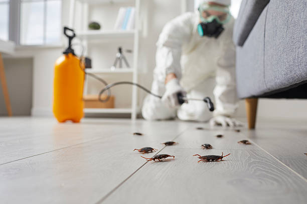 Trusted Rodent Control service in Inverness Highlands North, FL - Nex Pest Control