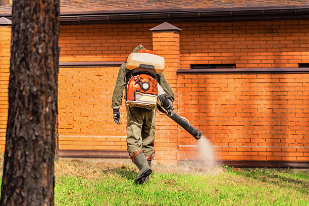 Trusted Bed Bug Control service in Inverness Highlands North, FL - Nex Pest Control